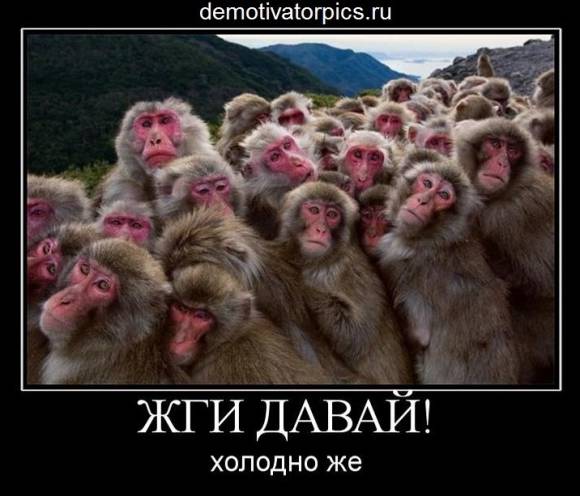 Откровения предателя: Альфред Кох и его влажные мечты .