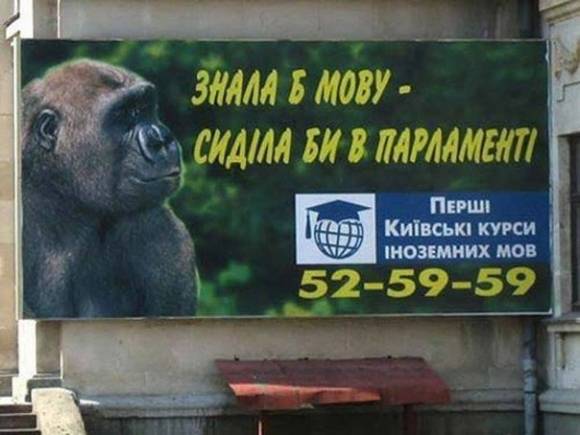 Украина: секта в масштабах одного государства.