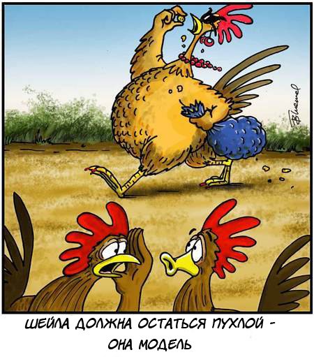 Привычки нездорового мяса. Воспитание свинины.
