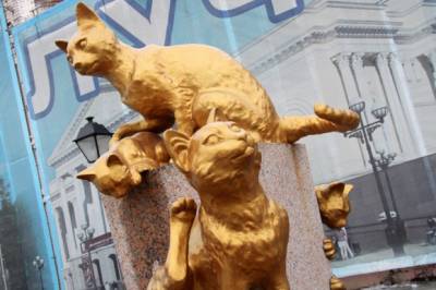 Сибирские кошки на войне