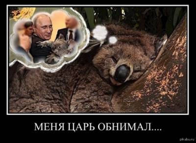 Дожили. Итальянцы любят Путина больше, чем россияне.