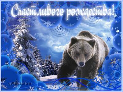 С наступающим Праздником Рождества Христова!