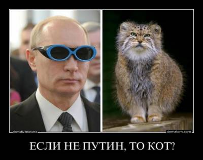 КтоеслинеПутин ?