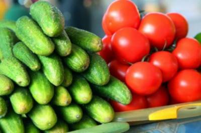 Правительство поддержало инициативу о запрете продуктов с ГМО в России
