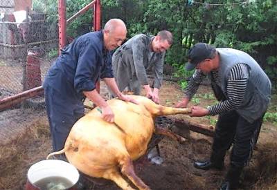 Мариуполь. Бои в прибрежной полосе не ослабевают.