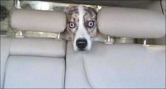 Реальная Автомойка.